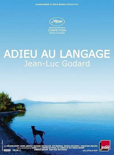 فیلم Goodbye to Language 2014