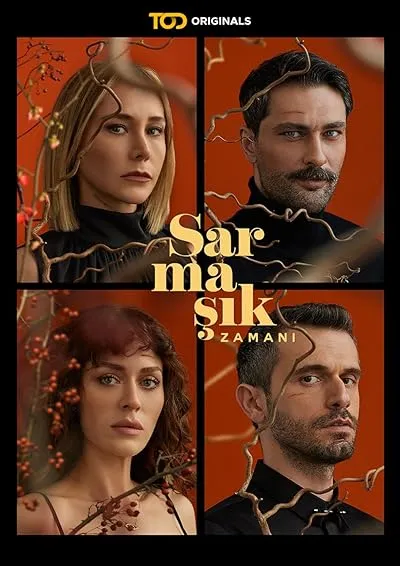 سریال ترکی Sarmasik Zamani