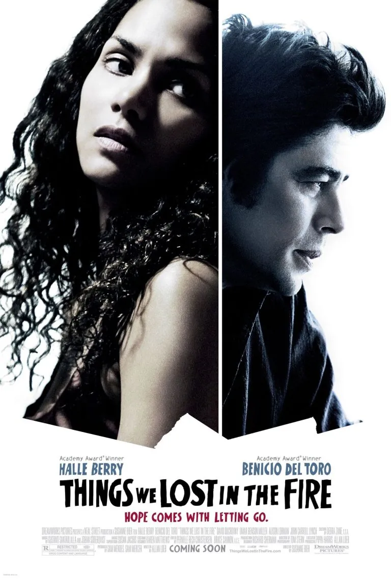 فیلم Things We Lost in the Fire 2007
