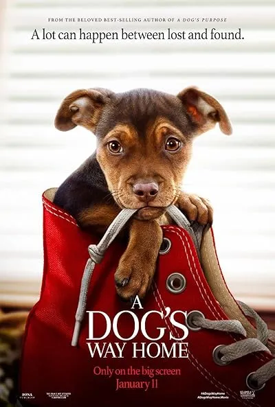 فیلم A Dog’s Way Home 2019