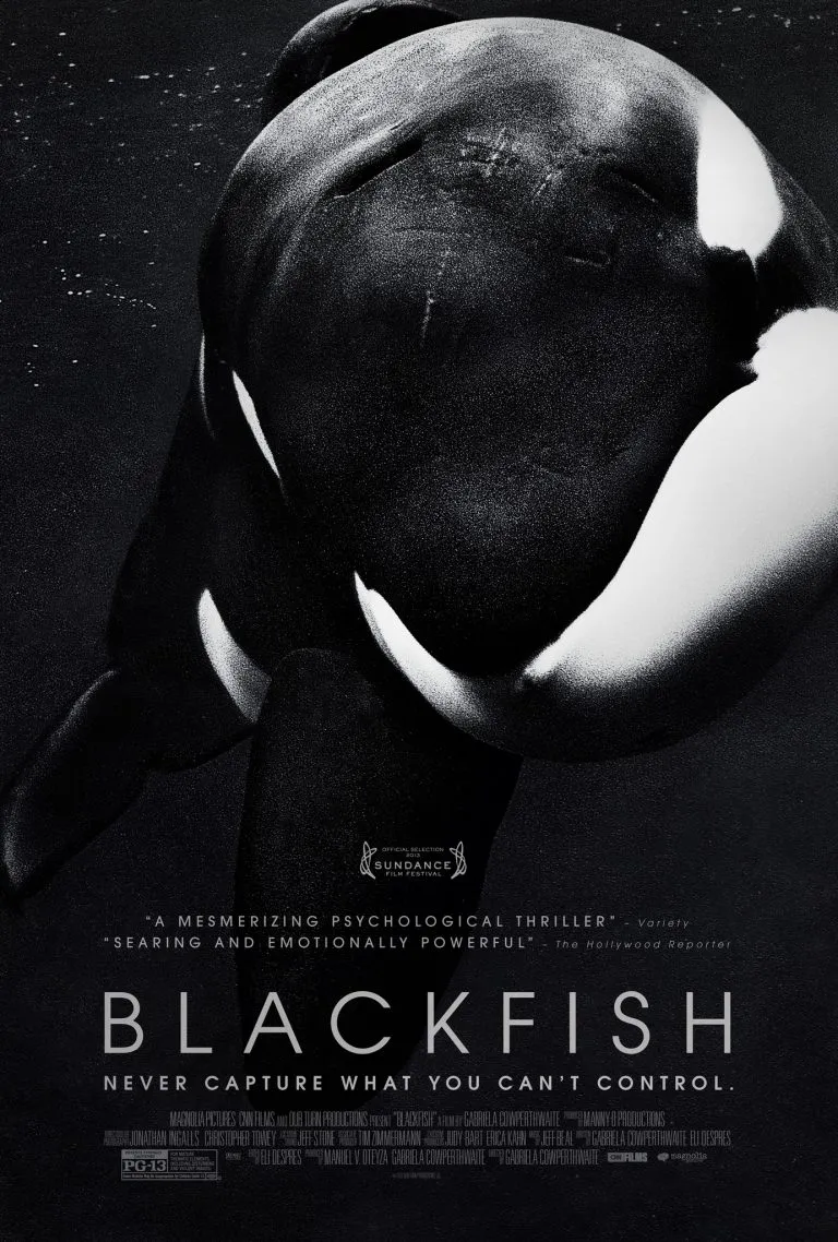 فیلم Blackfish 2013