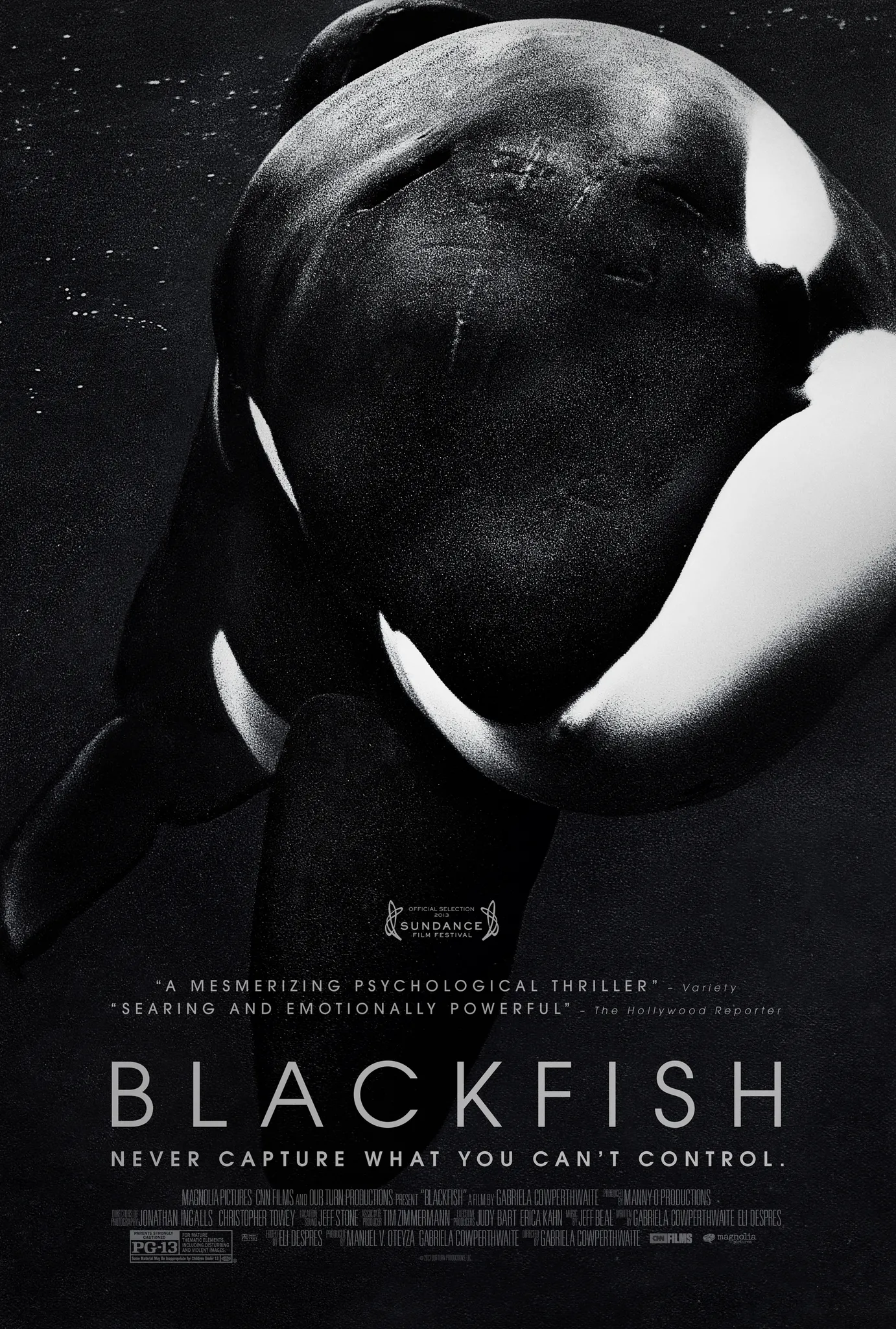  فیلم Blackfish 2013