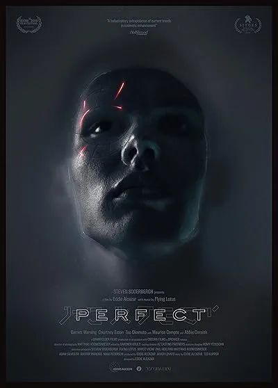 فیلم Perfect 2018
