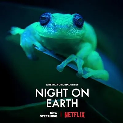 مستند Night on Earth