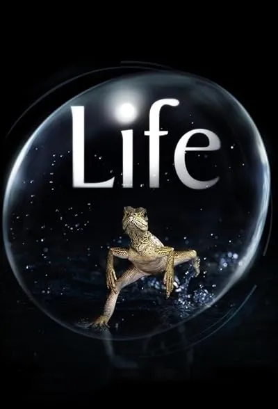 مستند Life