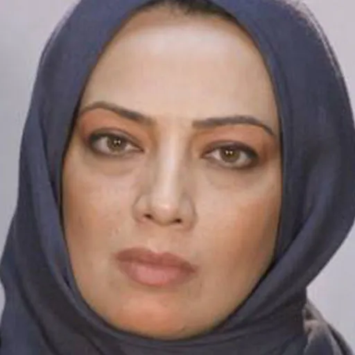 پردیس افکاری