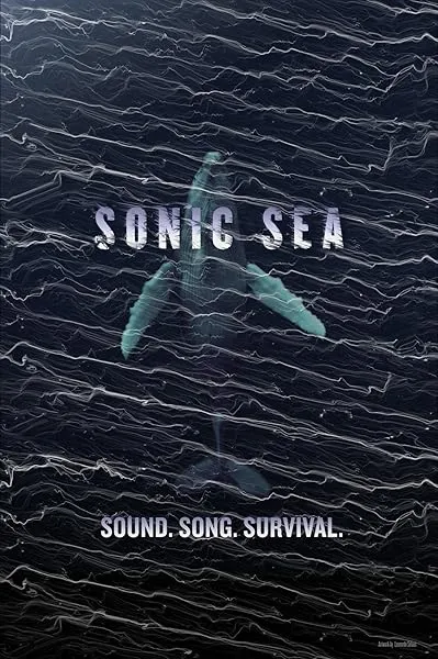  مستند Sonic Sea 2016