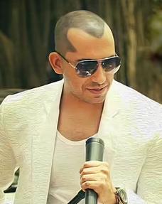 Ali Quli Mirza